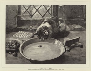 De Melkweg door William Strutt